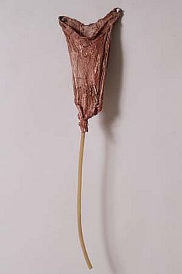 Ellen Sperling
Untitled, 1996
plaster, panty hose, rubber tube, 27 x 5 x 3 inches