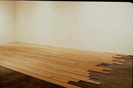 Oona Stern
Quite Another Matter, 2000
carpet, 162 x 300 inches