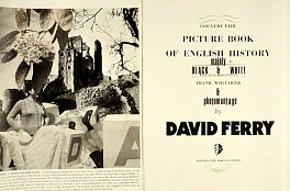 David Ferry Biography