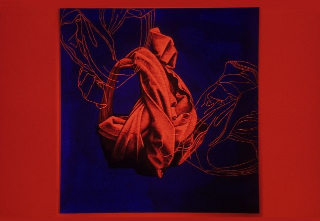 Sam Ainsley
Red Cocoon, 2006
acrylic on canvas, 48 x 48 in.