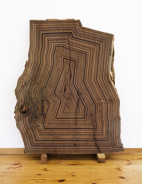 Jason Middlebrook
Once Again a Version of Nature Through My Eyes, 2011
acrylic on beech, 78 x 60 x 3 1/2 in.