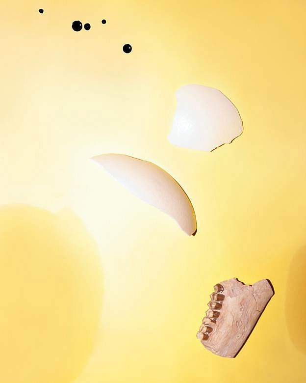Brea Souders
Teeth and Shell, 2012
archival pigment print, 35 x 28 in.