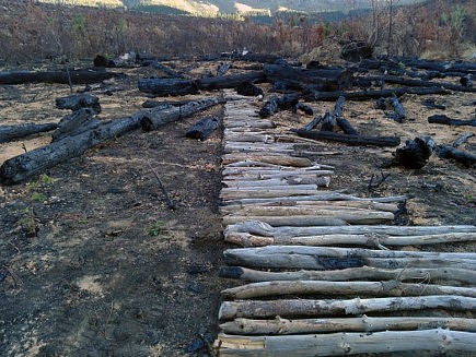 Strijdom van der Merwe
Arranging a line. Jonkershoek, Stellenbosch, 2020
found wood on site, 4 x 1 meters