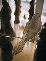 Sarah Wagner, Roots Grow Both Ways
2007, burlap, silk organza, thread, ink paper, PET