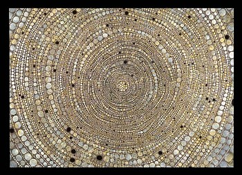 Andrea Way - Nebular Hypothesis