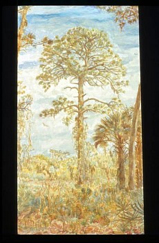 Joseph Weinzettle -&nbsp;Pinewoods (Largo)