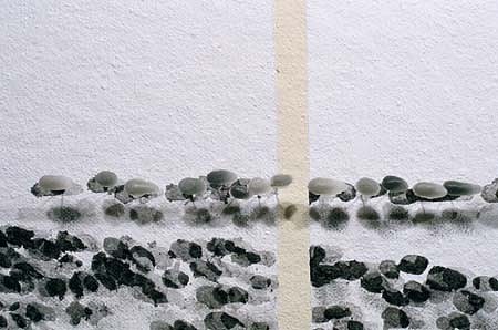 Katerina Wong
Untited Fingerprint Series: Flota (Detail), 2000