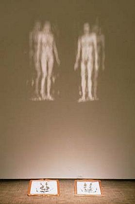 Kana Tanaka
Untitled, 2000
glass fragment on mirrors and spotlight, 144 inches