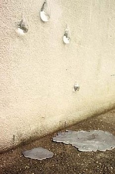 Artist:&nbsp;Predrag Todorovic