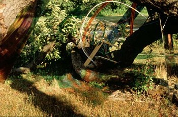 Artist:&nbsp;Susan Togut