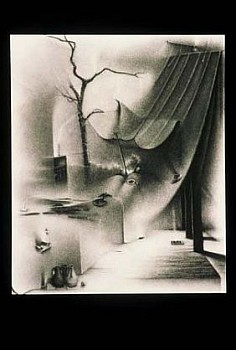 Artist: Charlotte Schulz