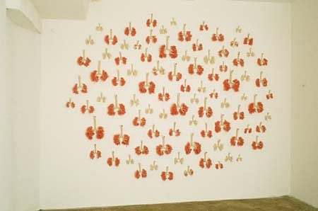 Matt Schwede
100 Lungs, 1999
string, yarn, wire, 96 x 132 x 5 inches