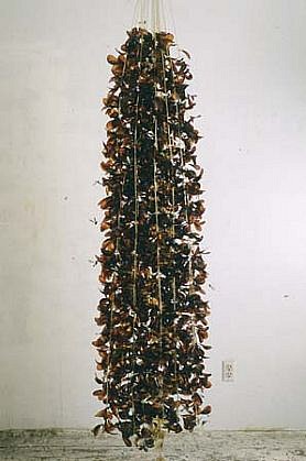 Alyson Shotz
Swarm, 1997 - 1998
form-a-film, surgical tubing, steel wire, 108 x 24 x 24 inches