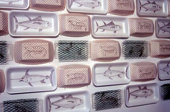 Artist: Melissa Stang