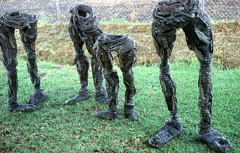 Lynne Streeter - Grounded