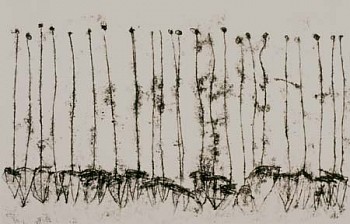 Artist: Annie Stromquist