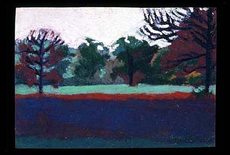 Robin Raddatz
Trees # 7, 2001
oil pastel, 4 x 5 inches
