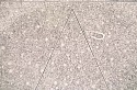 Walter Redinger, Star and Triangle
2003, ink on paper