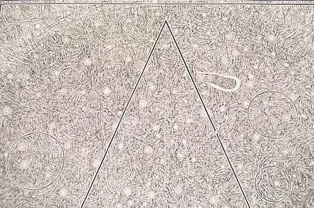 Walter Redinger
Star and Triangle, 2003
ink on paper, 24 x 15 1/2 inches