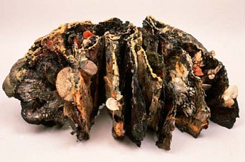 Artist:&nbsp;Susan Rostow