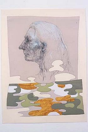 Elizabeth Olbert
Joseph's Coat, 2001
mixed media on paper and vellum, 30 x 22 1/4 inches