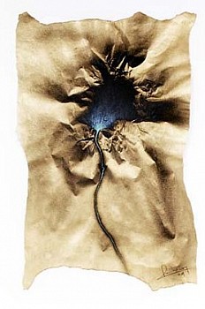 Pedro Pacheco - On the Edge #3