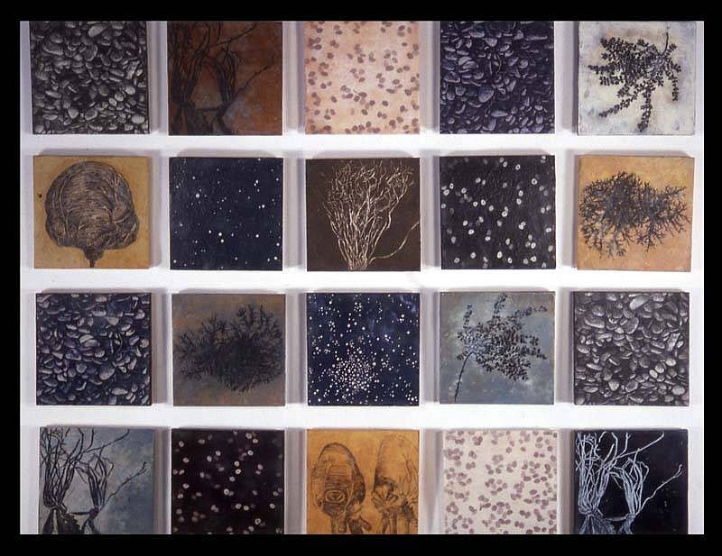 Mary Jane Parker
Specimens II, 2005
etching and encaustic on panel, 20 x 34 inches