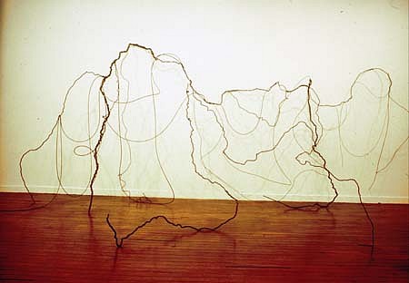 Junia Penna
Untitled, 1997
iron, steel cable, metal wire, 320 x 650 x 290 cm