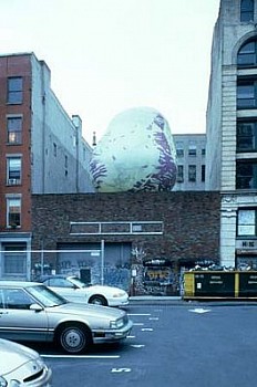 Cara Perlman - Untitled