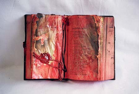 Alfredo Pizzo Greco
Burned Book, 2001
acrylics, sealing wax, rope, 9 x 12 x 2 inches