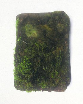 Sebastian Preece - Books