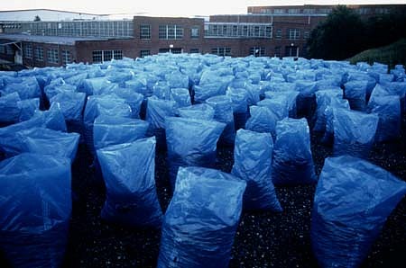 Yuki Nakamura
On the Roof, 1999
plastic bags, gravel, 11 x 360 x 360 inches