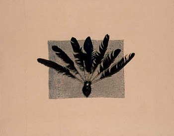 Wilmar Nascimento -&nbsp;Abed� de Nan�