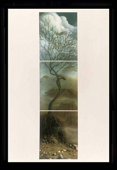 Search: Michelle Manley, Risiliency, 2006