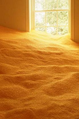 Eve Laramee
Sugar Mud (Hudson River Project), 2003
crystalized yellow sugar, wood, digital photographs, lighting gels, 16.5' x 35' x 6.5'
detail: sugar and golden light