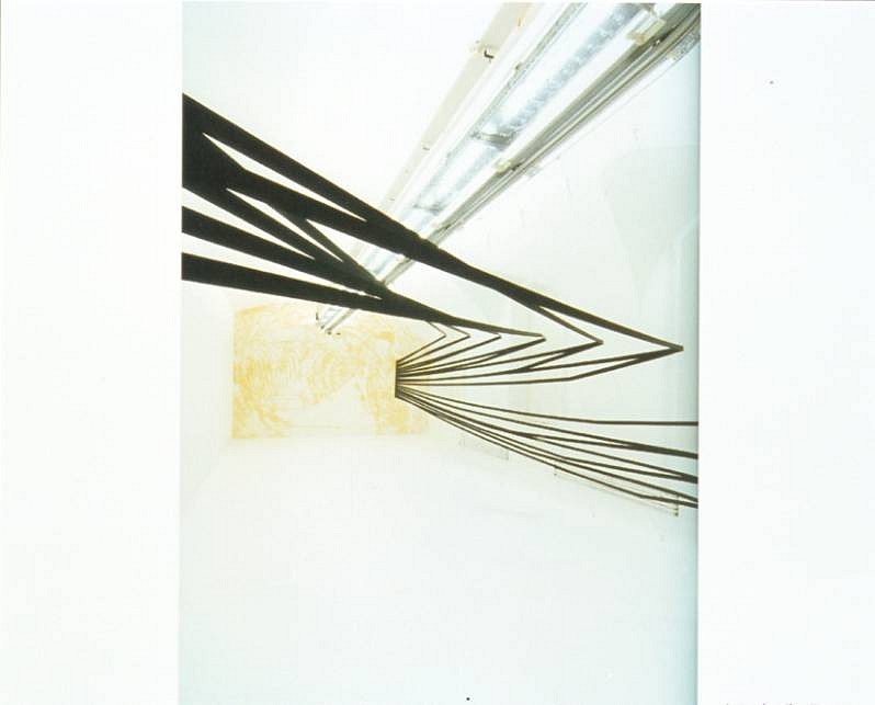 Kasper Kovitz
Sunset: Delayed, 2007
fly trap glued on drywall and seatbelt fabric, 221 x 156 x 840 inches