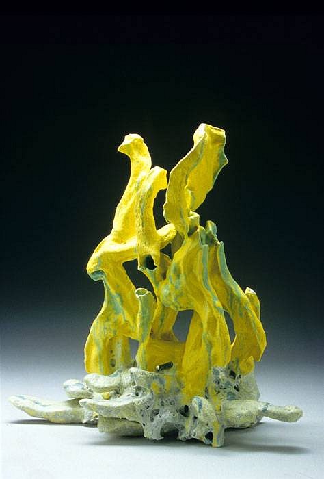 Julia Kunin
Untitled (yellow root), 2007
vitreous china, 28 x 29 x 14 inches