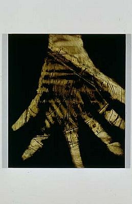 Robin Kandel
Root Hand, 2000
acrylic on board, 14 x 16 inches