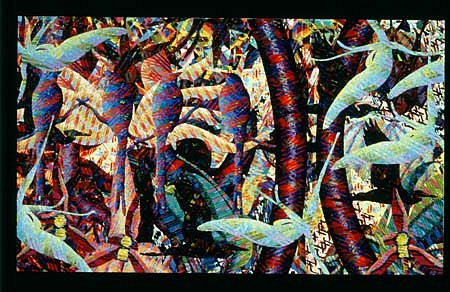 Aaron Karp
Scissor Tails, 1999
acrylic on canvas, 48 x 80 inches