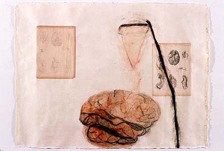 Shelagh Keeley
Gestures of the Site, 1998
transfer, collage, wax, pigment, gouache, crayon and pencil on paper, 30 x 40 inches
a series of drawings
