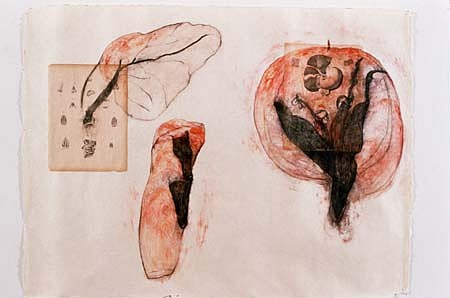 Shelagh Keeley
Gestures of the Site, 1998
transfer, collage, wax, pigment, gouache, crayon and pencil on paper, 30 x 40 inches
a series of drawings