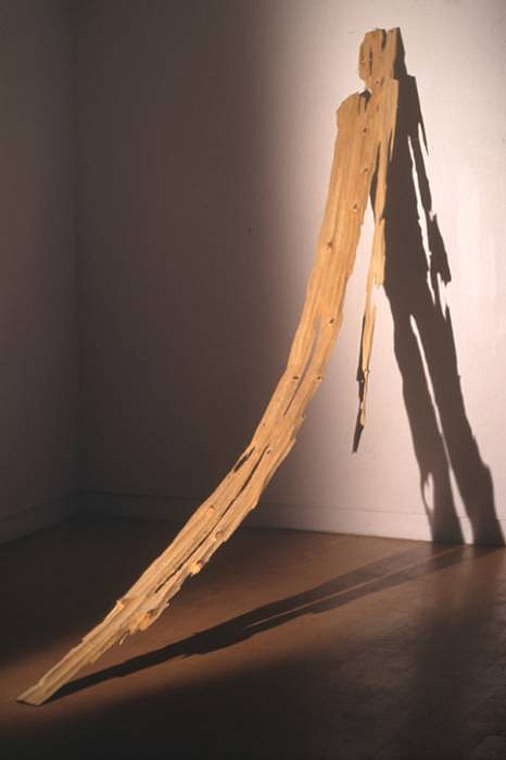 Seo Kyung Kim
Someone, 2004
pine tree, 50 x 2 x 280 cm