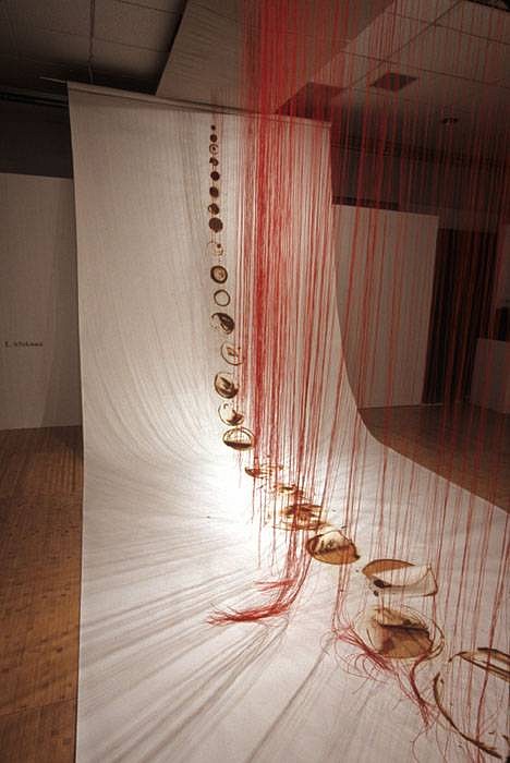 Etsuko Ichikawa
Forest of Deai, 2005
glass pyrograph on paper, red thread, 138 x 108 x 336 inches