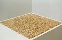 Fred Holland, Commune Labyrinth
2003, blackeye peas, pins, wood