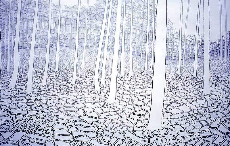 David Harker
Woodland I, 2005
ink on paper, 35 x 55 cm