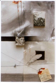 Antonia Guerrero -&nbsp;The Conch Shell