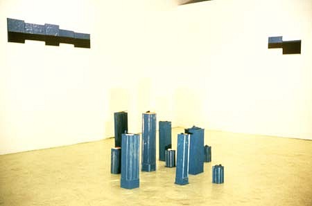 Maximilian Goldfarb
Decoys, 1998
plastic, balsa wood, foam, acrylic, dimensions variable