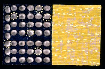 Laura Fayer -&nbsp;From Outer Space