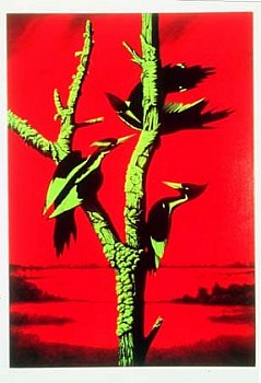 Peter Edlund - Homage to James Byrd (After J.J. Audubon)