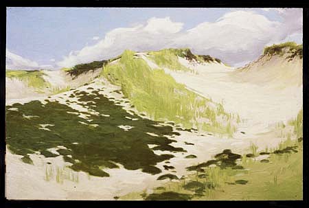 Terry Elkins
Dunes in Napeague, 2002
oil on canvas, 30 x 44 inches